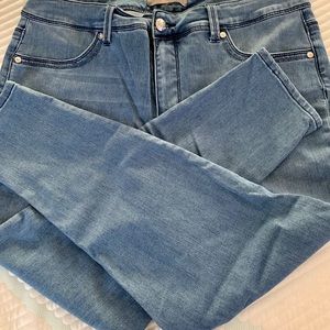 Melissa McCarthy Seven Pencl Jeans